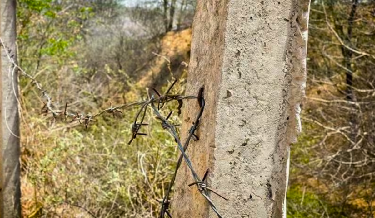 photo:Patanjali Aravalli forest 